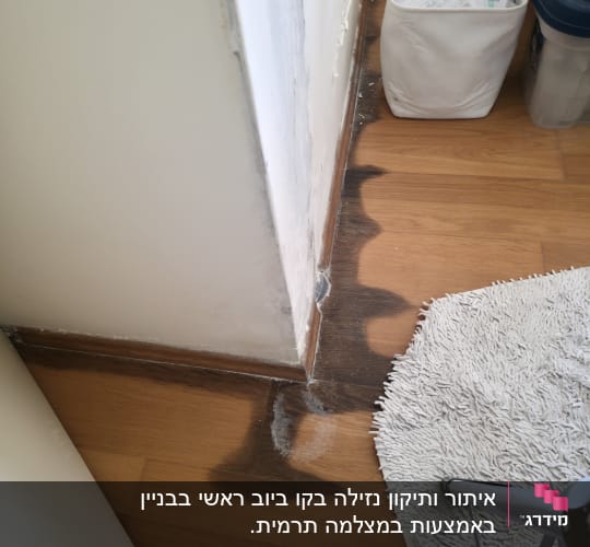 רטיבות על רצפת עץ ליד קיר פנימי